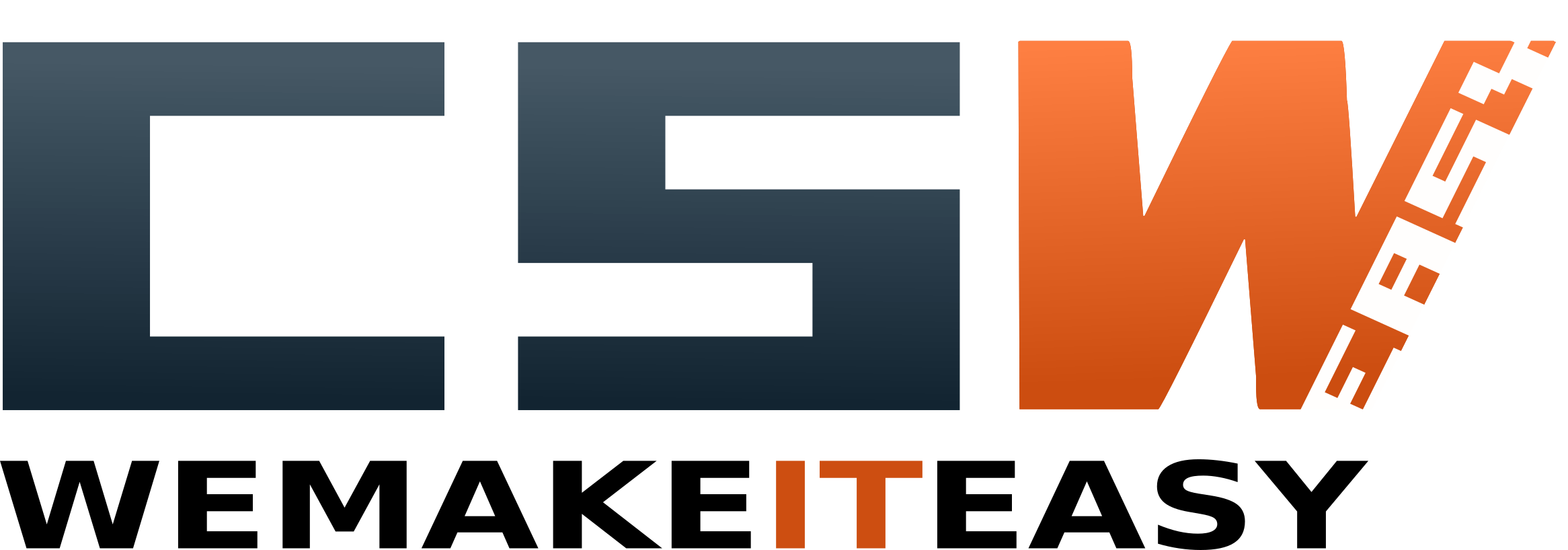 New CSWIT Logo dunkel